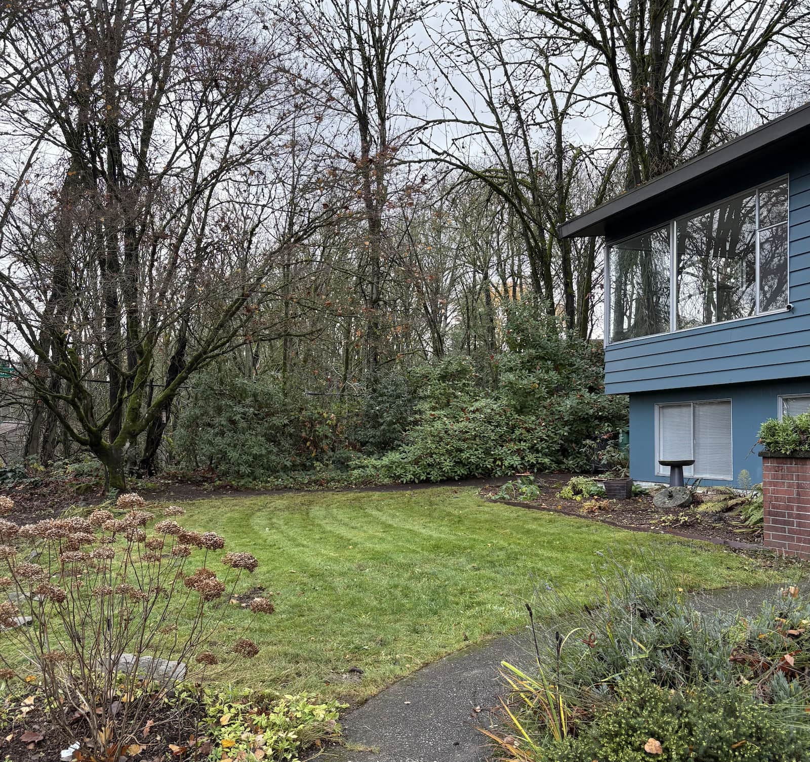 backyard of blue house after clean up