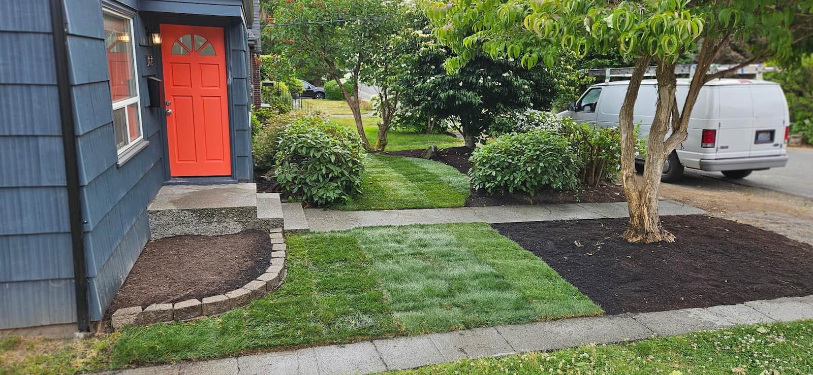 front yard after lawn stall is done