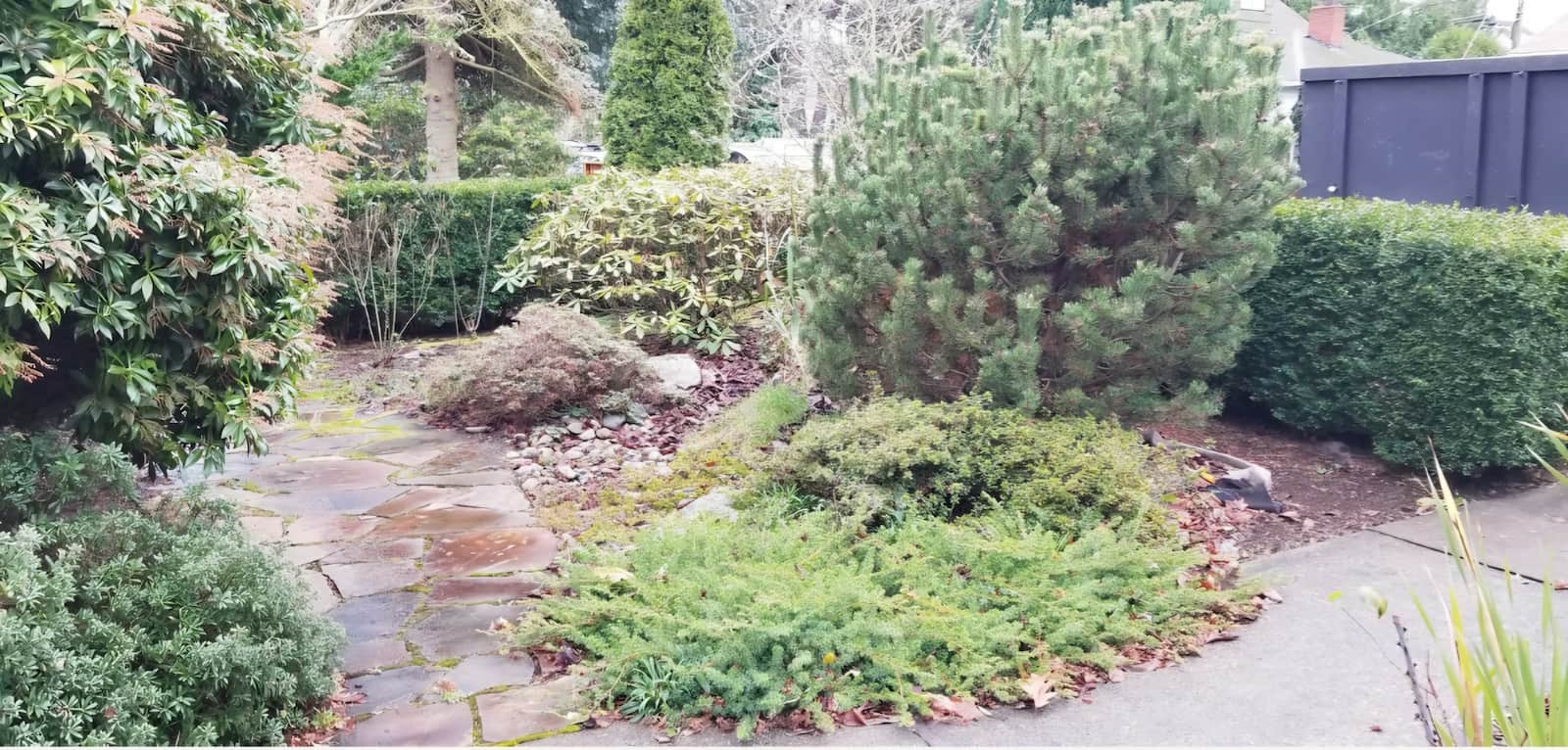 green grass corner before