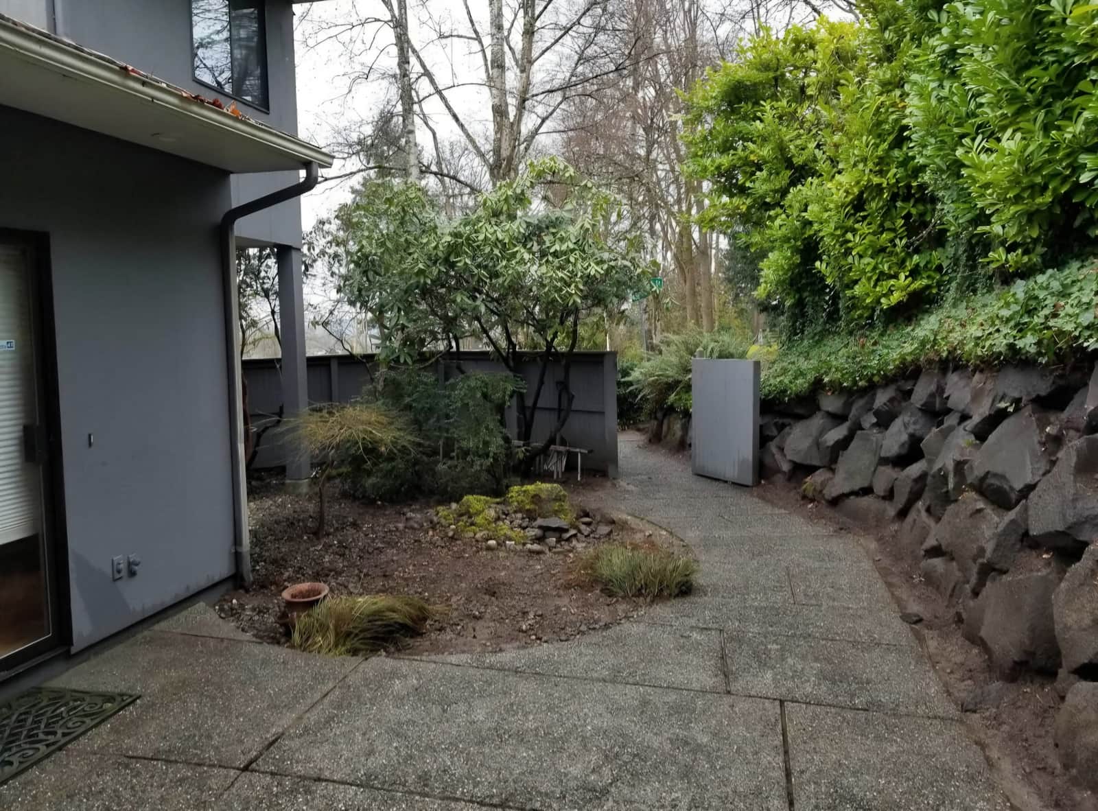 corner with tree before yard work