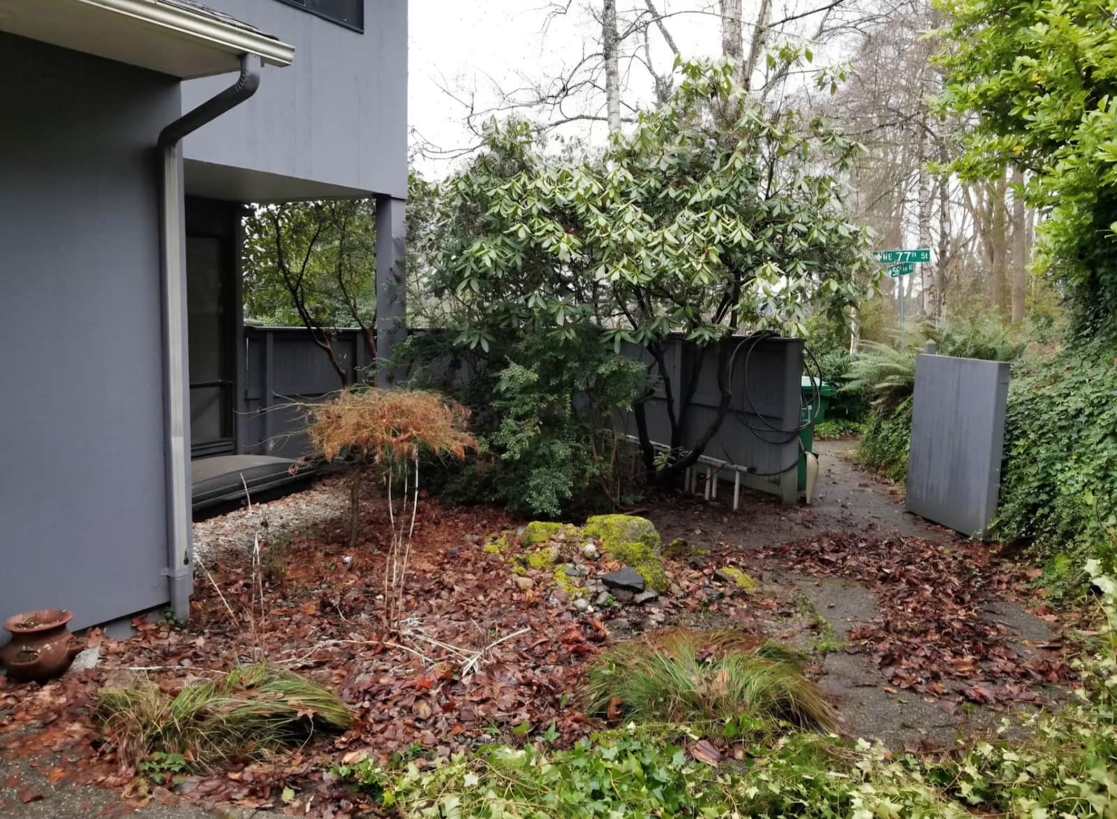 corner with tree before yard work