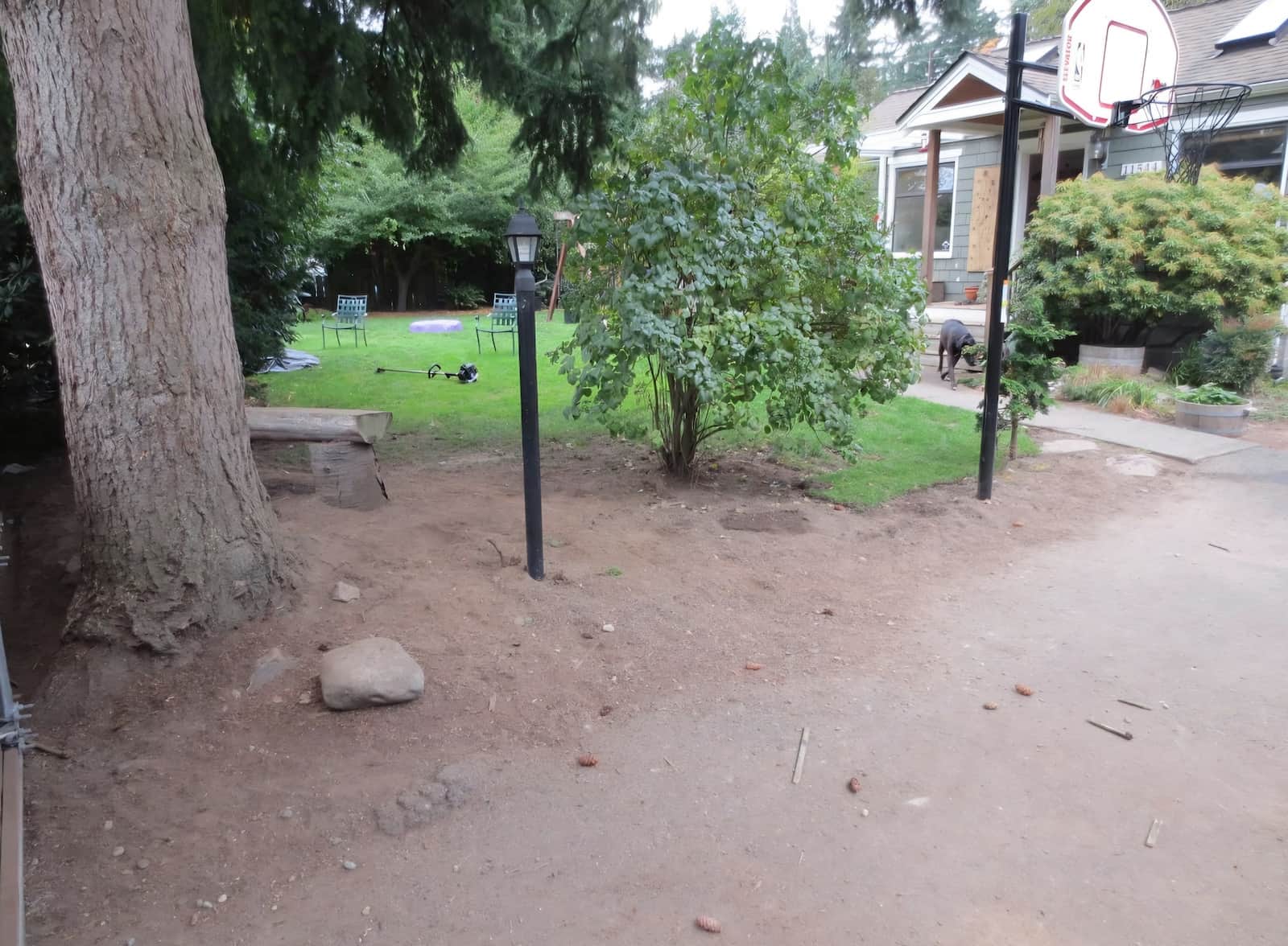 tree by lamp post before mulch