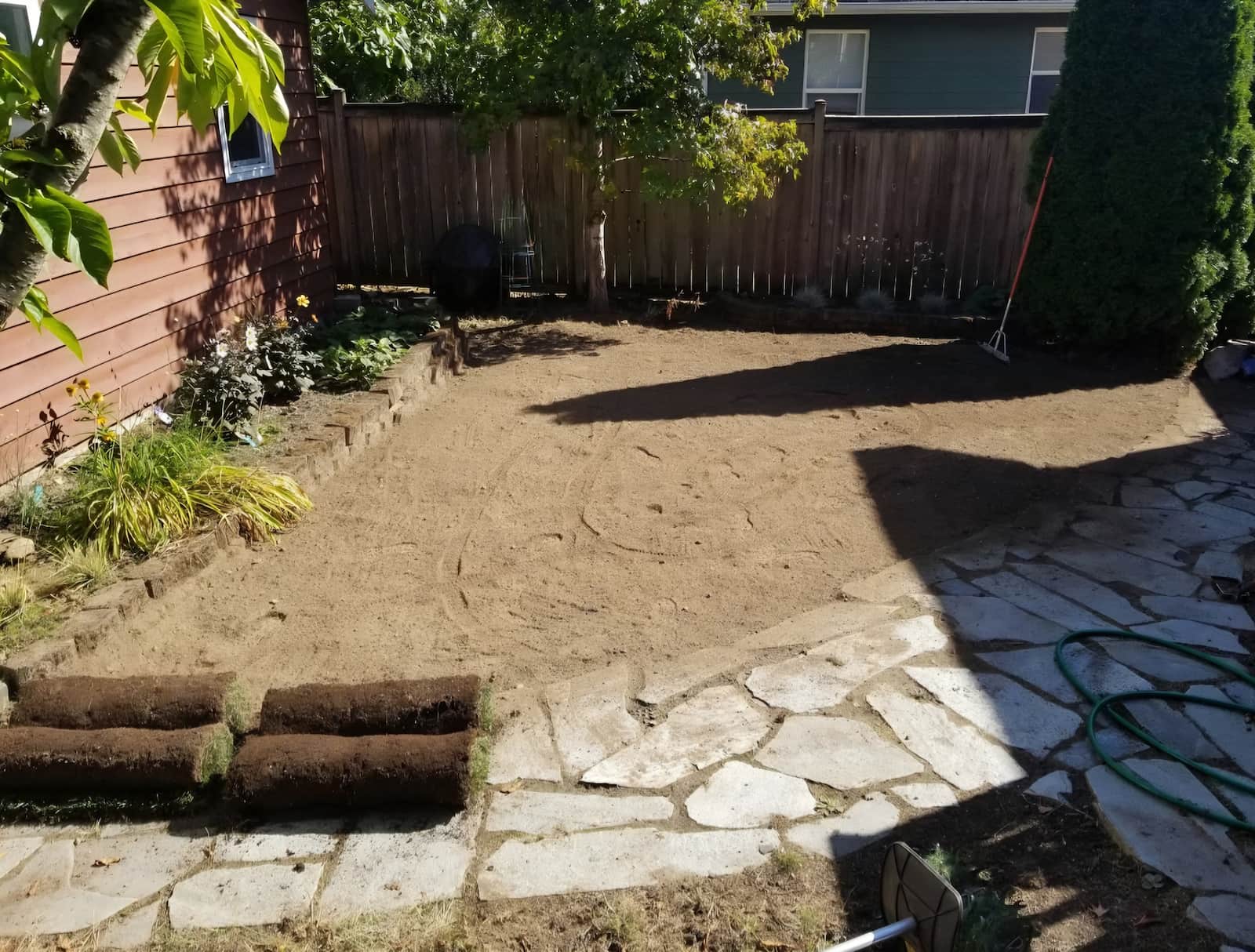 bushes and grass before lawn laying