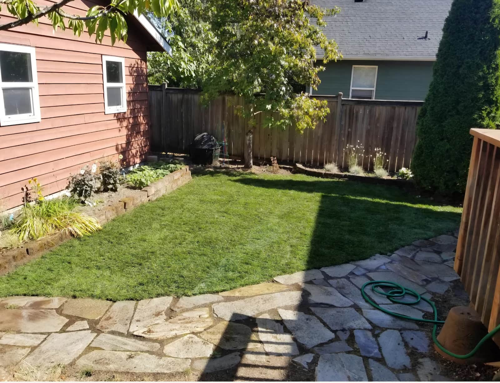 bushes and grass after lawn laying