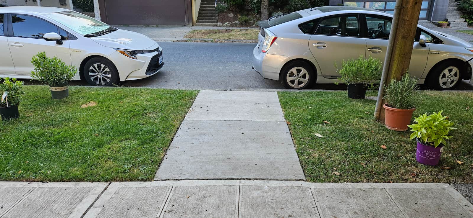 no flowers around walk way