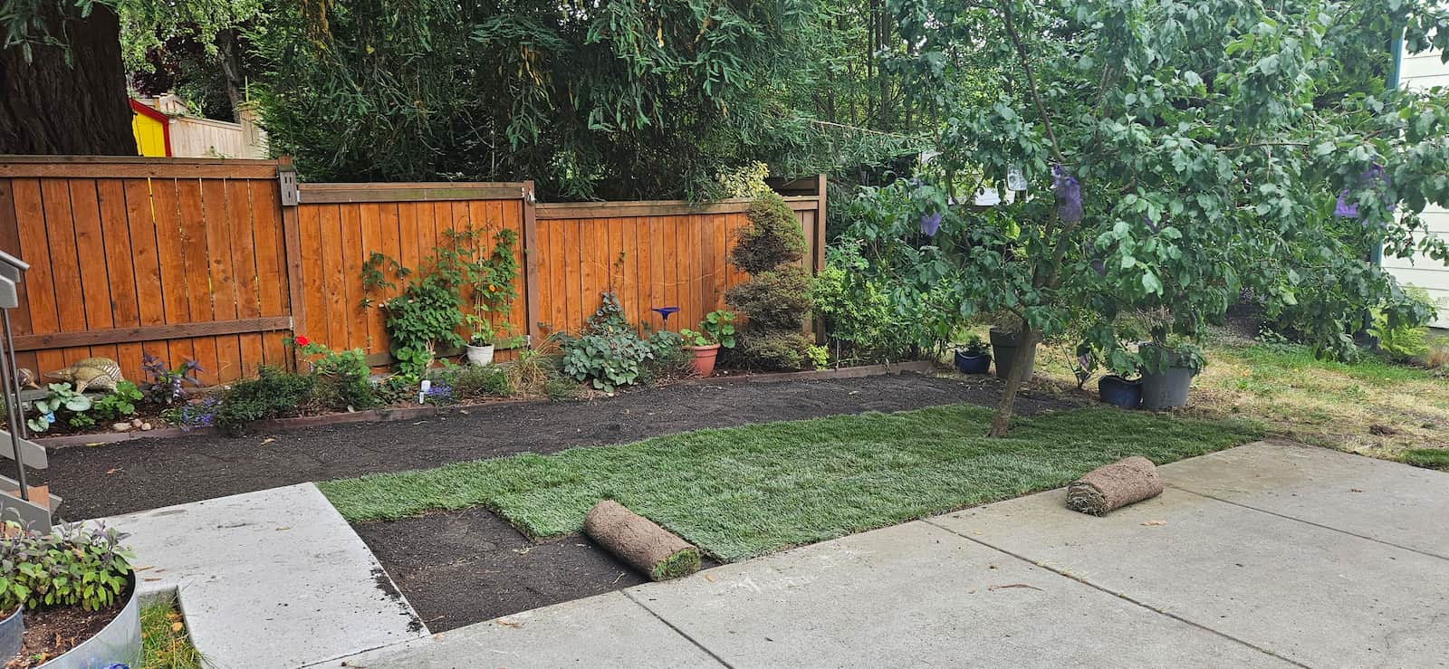 a yard being worked on