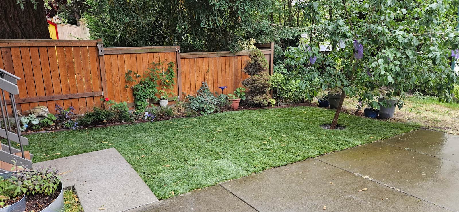 after work on yard is completed